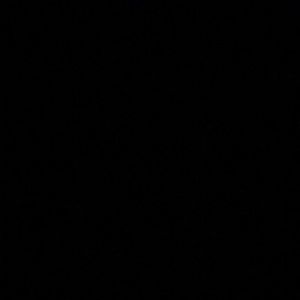 Meet your Posher, Dalia